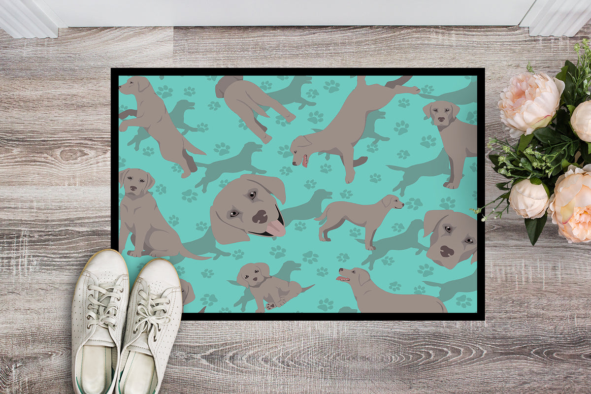 Caroline's Treasures Grey Labrador Retriever Doormat - 24x36 Decorative Floor Mat – Indoor/Outdoor Rug with Artistic Flair