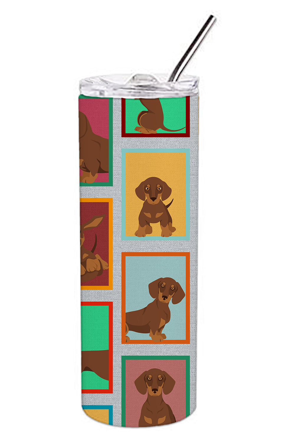 Lots of Chocolate and Tan Dachshund Stainless Steel 20 oz Skinny Tumbler - the-store.com