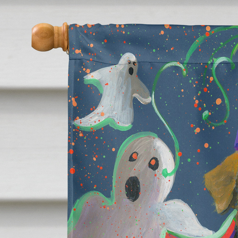 Airedale Boo Hoo Halloween Flag Canvas House Size PPP3002CHF