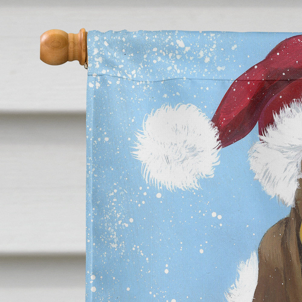Basset Hound Santa Christmas Flag Canvas House Size PPP3012CHF