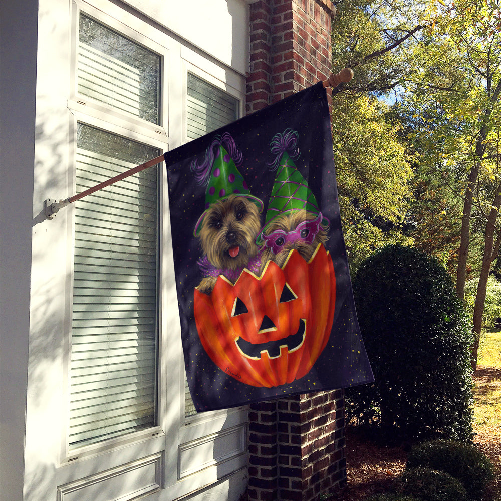 Cairn Terrier Halloween PeekaBoo Flag Canvas House Size PPP3056CHF  the-store.com.