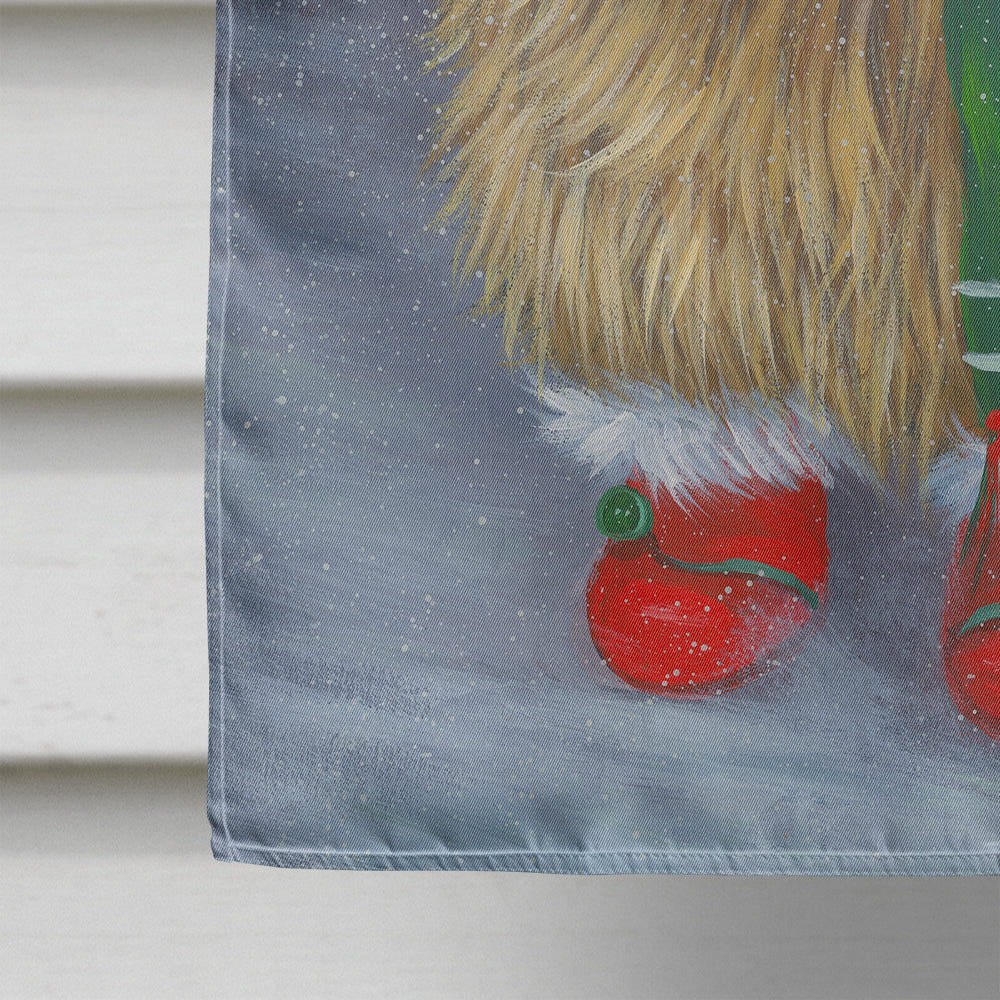 Cairn Terrier Christmas Red Boots Flag Canvas House Size PPP3058CHF