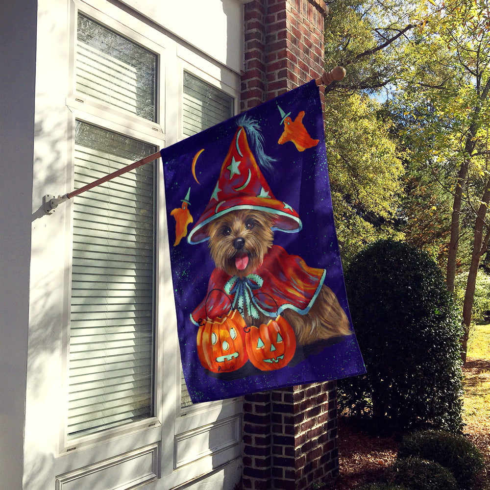 Cairn Terrier Halloween Witch Flag Canvas House Size PPP3061CHF  the-store.com.