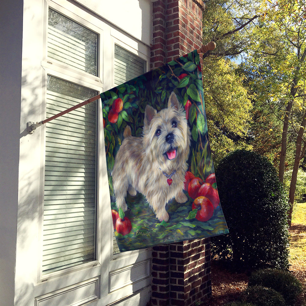 Norwich Terrier Apple Grove Flag Canvas House Size PPP3116CHF