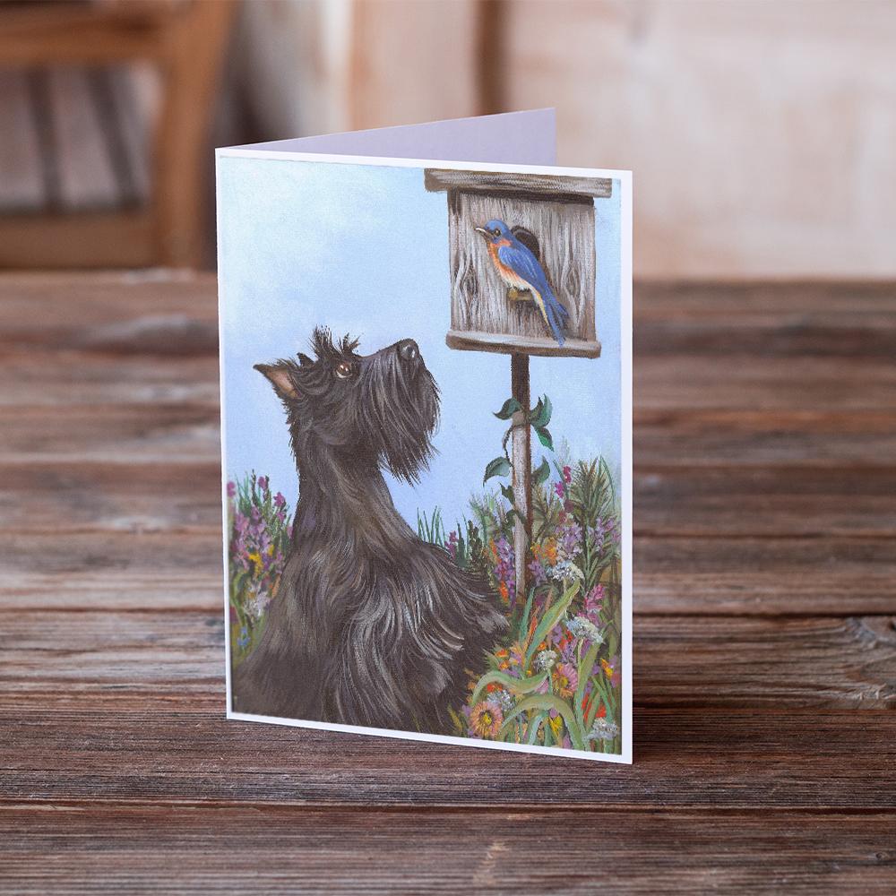 Scottie Curious Greeting Cards and Envelopes Pack of 8 - the-store.com