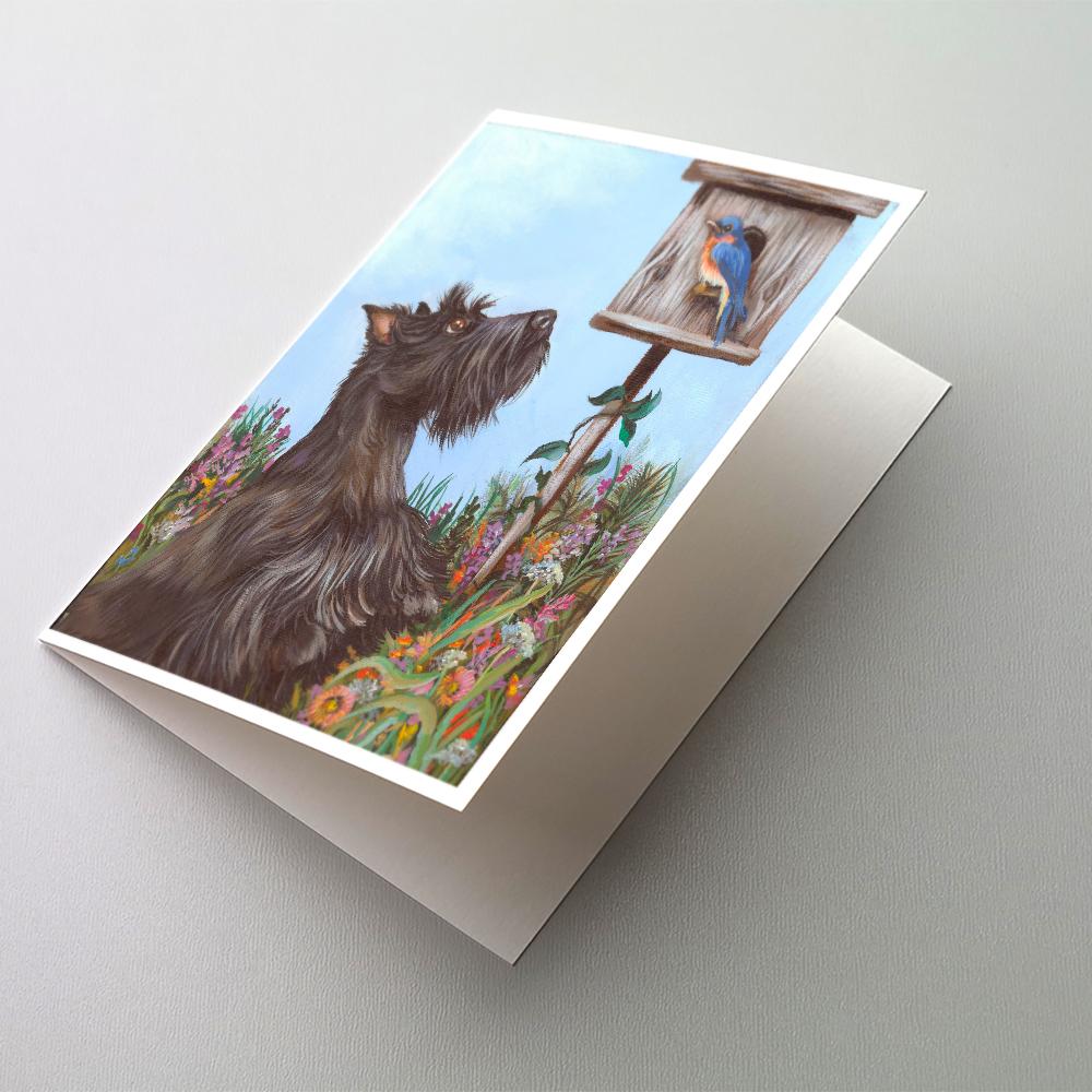Buy this Scottie Curious Greeting Cards and Envelopes Pack of 8
