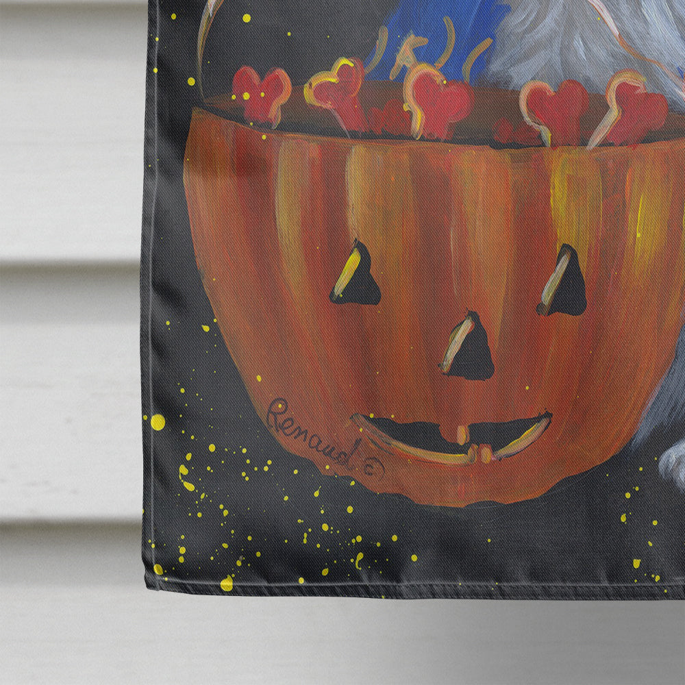 Sheltie Halloween Witch Flag Canvas House Size PPP3186CHF  the-store.com.
