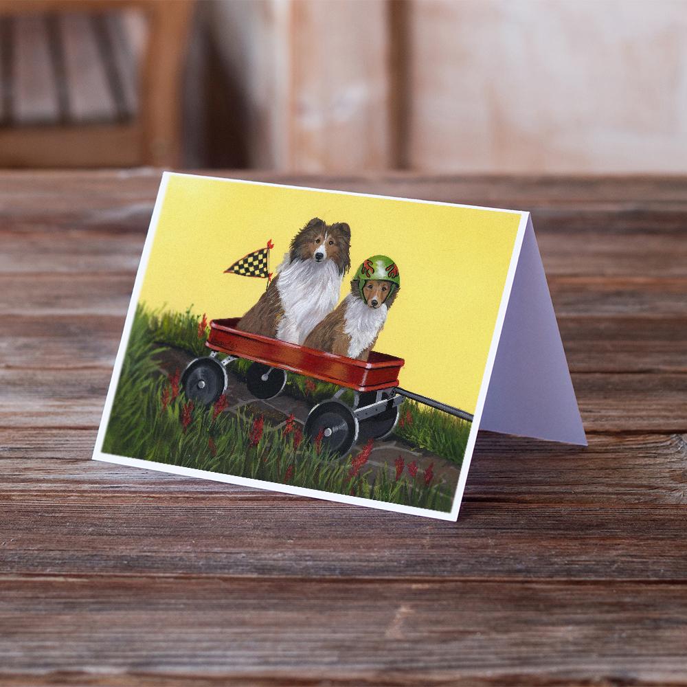 Buy this Sheltie Sheepdog Express Greeting Cards and Envelopes Pack of 8