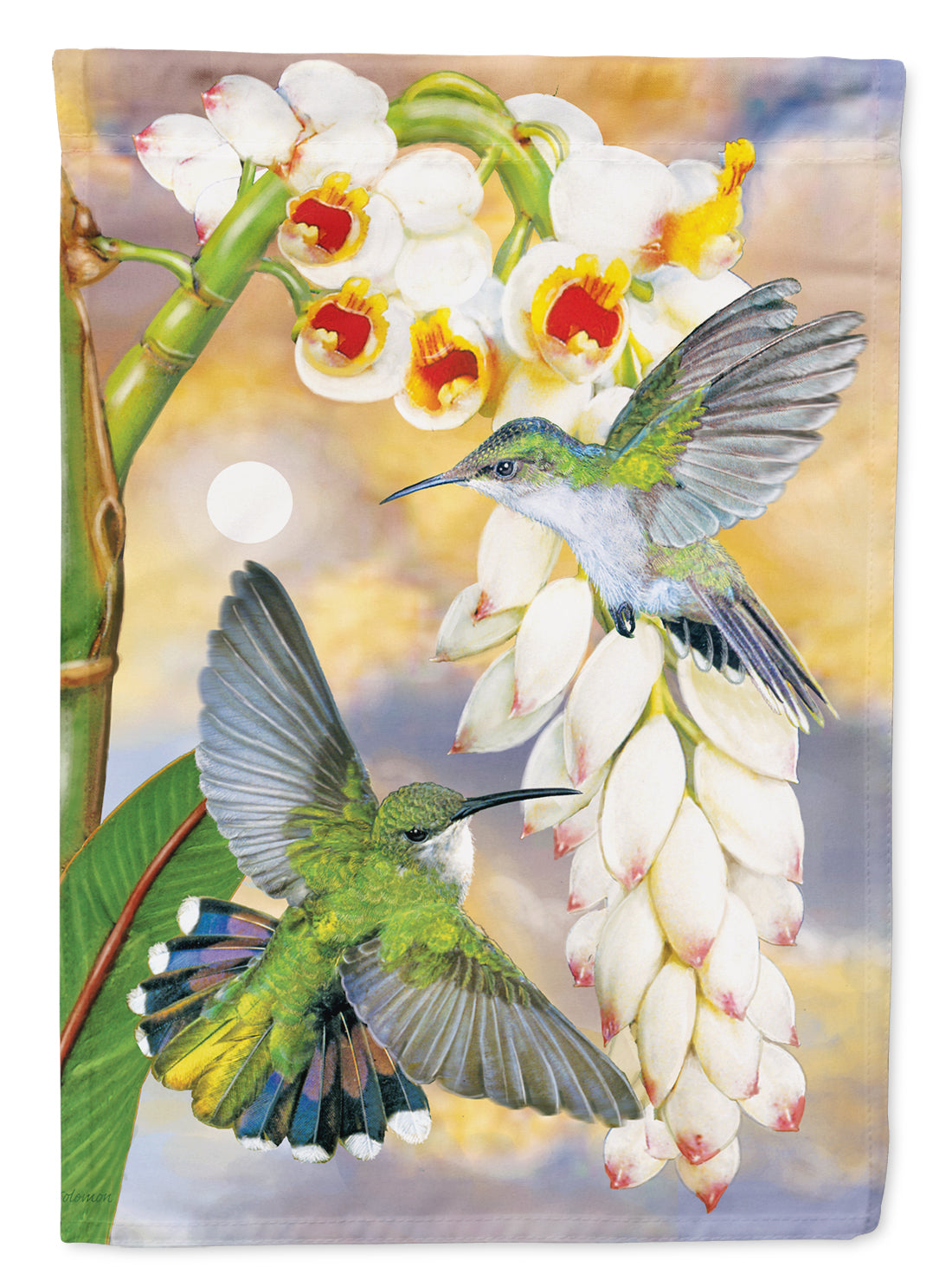 Antillaen Hummingbirds Shell Ginger Flag Canvas House Size PRS4022CHF  the-store.com.