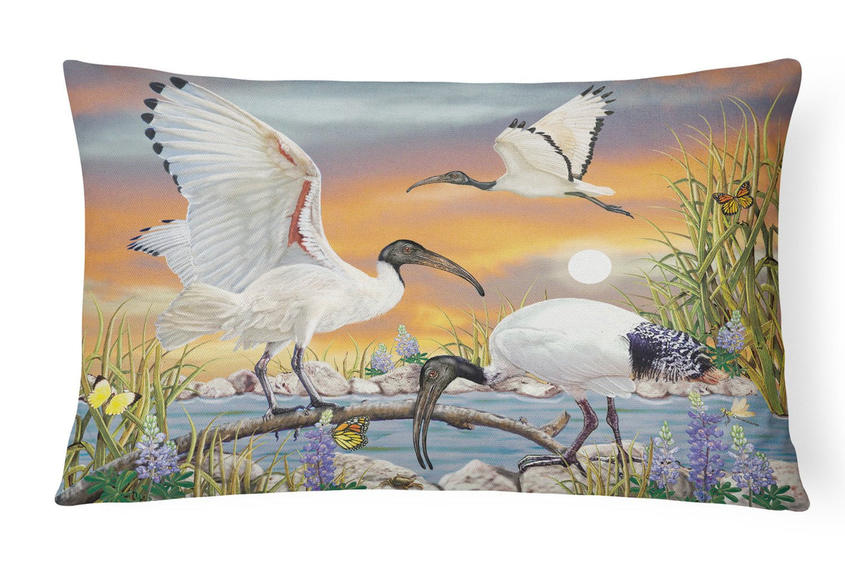 Sacred Ibis Canvas Fabric Decorative Pillow PRS4035PW1216 by Caroline&#39;s Treasures