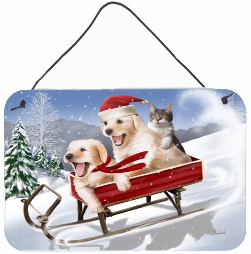 Dogs and Kitten in Sled Need for Speed Wall or Door Hanging Prints PTW2015DS812 by Caroline's Treasures