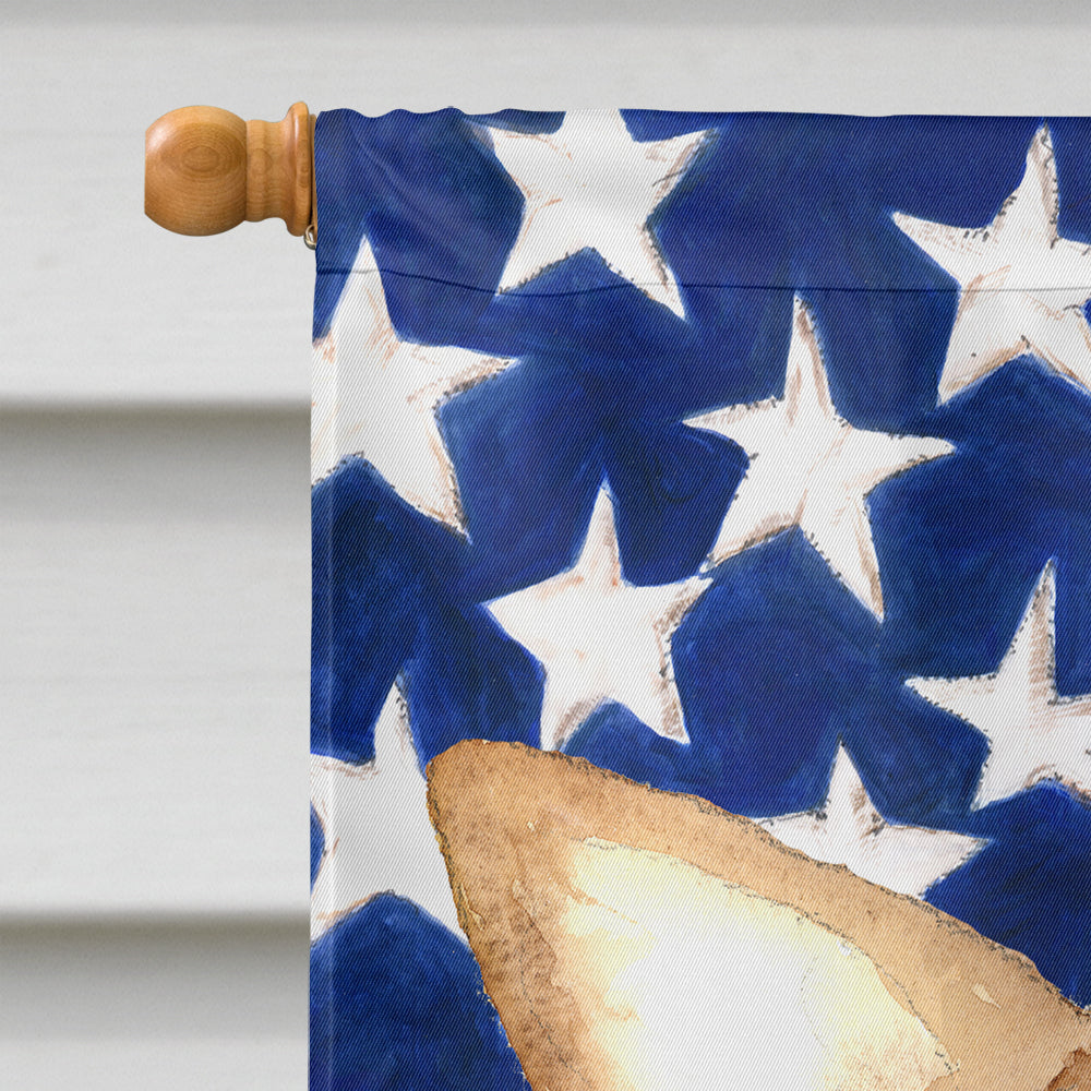 USA American Flag Chihuahua Flag Canvas House Size RDR3009CHF
