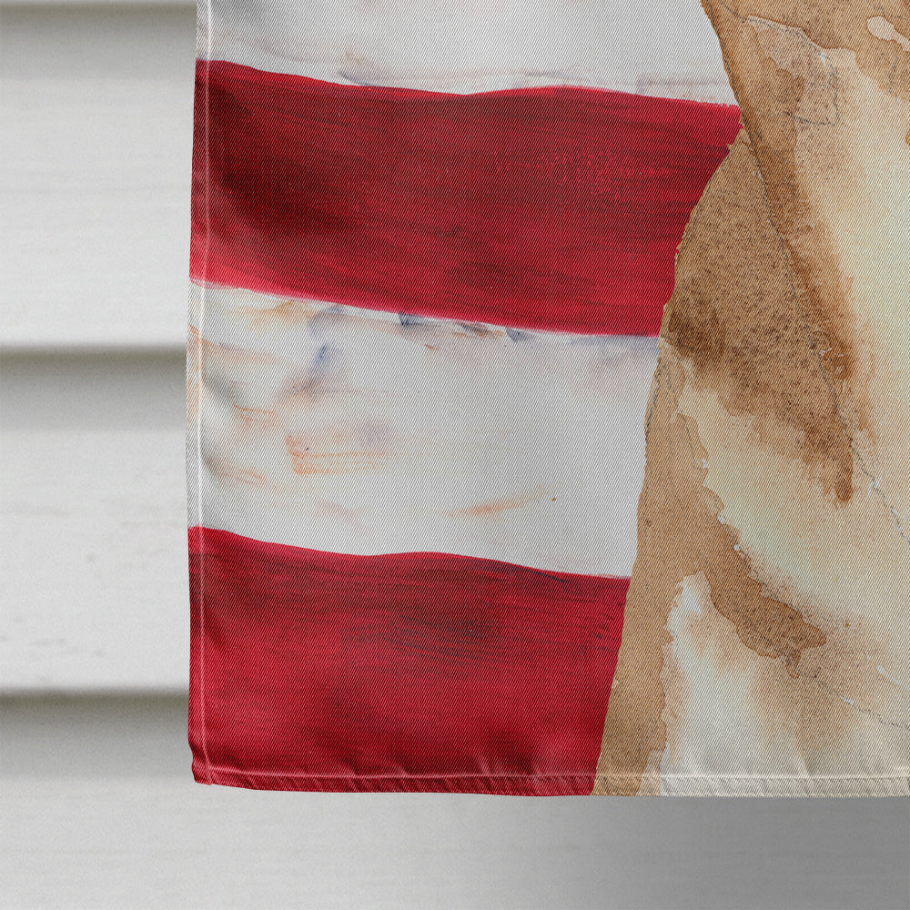 USA American Flag Chihuahua Flag Canvas House Size RDR3009CHF