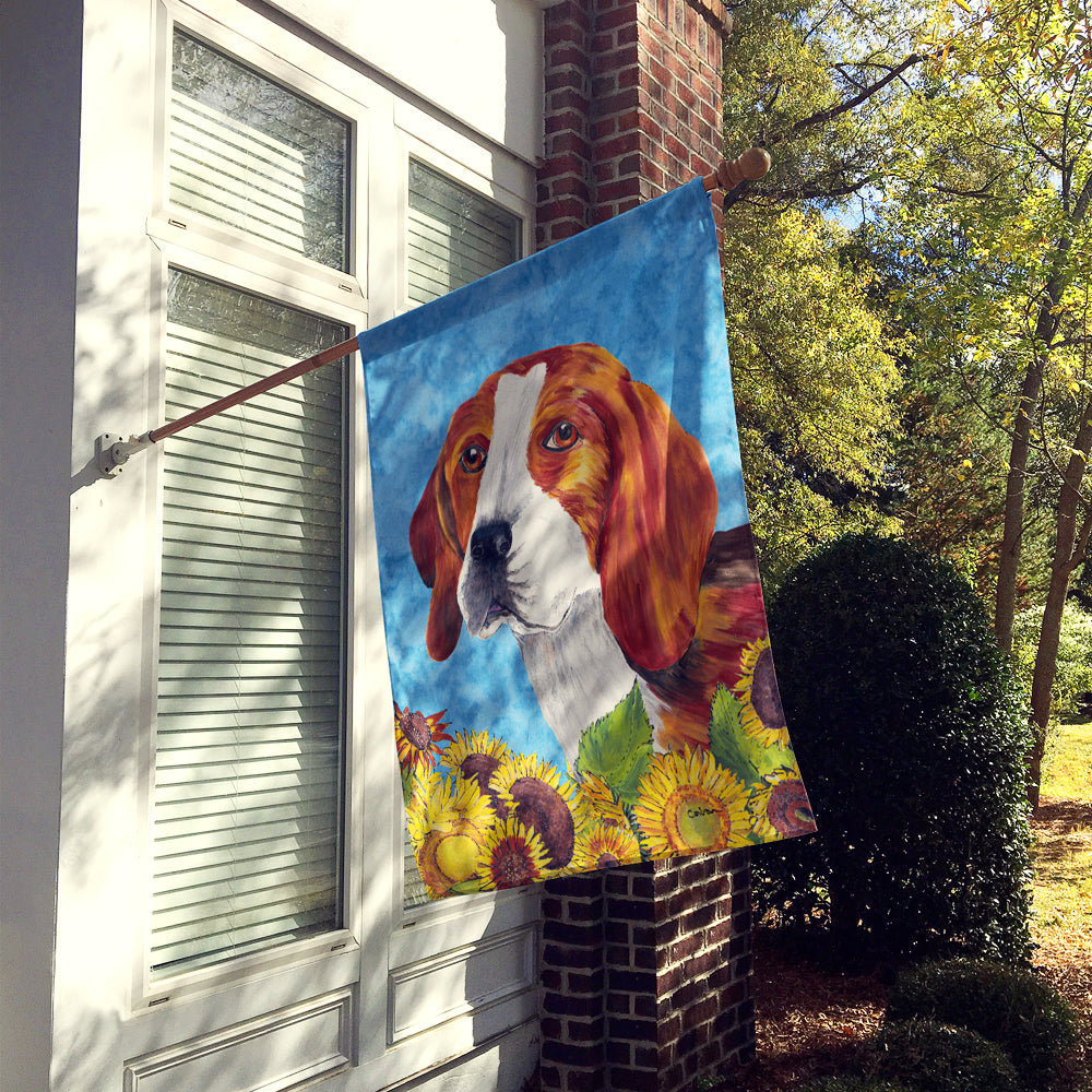 Beagle Flag Canvas House Size