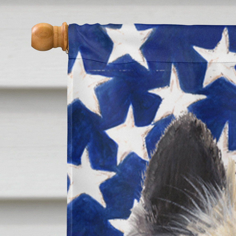USA American Flag with Belgian Tervuren Flag Canvas House Size