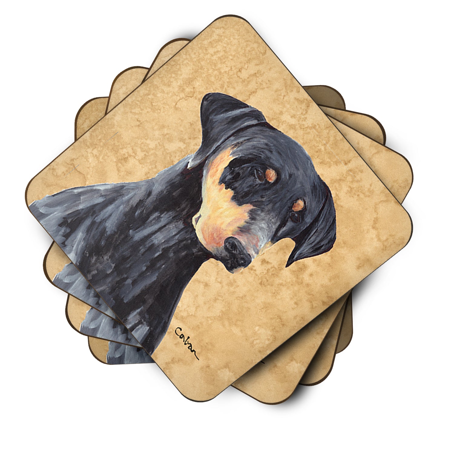 Caroline's Treasures Doberman Coasters - Set of 4 Lightweight Foam, Absorbent Drink Coasters