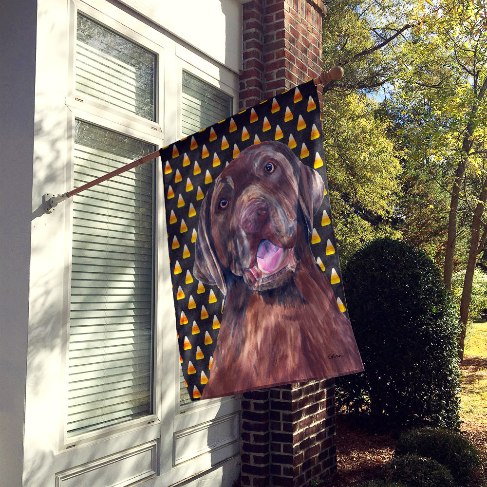 Labrador Chocolate Candy Corn Halloween Flag Canvas House Size