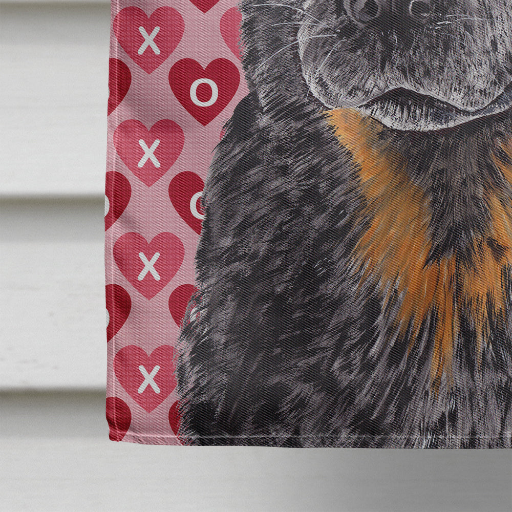 Australian Cattle Dog Hearts Love and Valentine's Day  Flag Canvas House Size