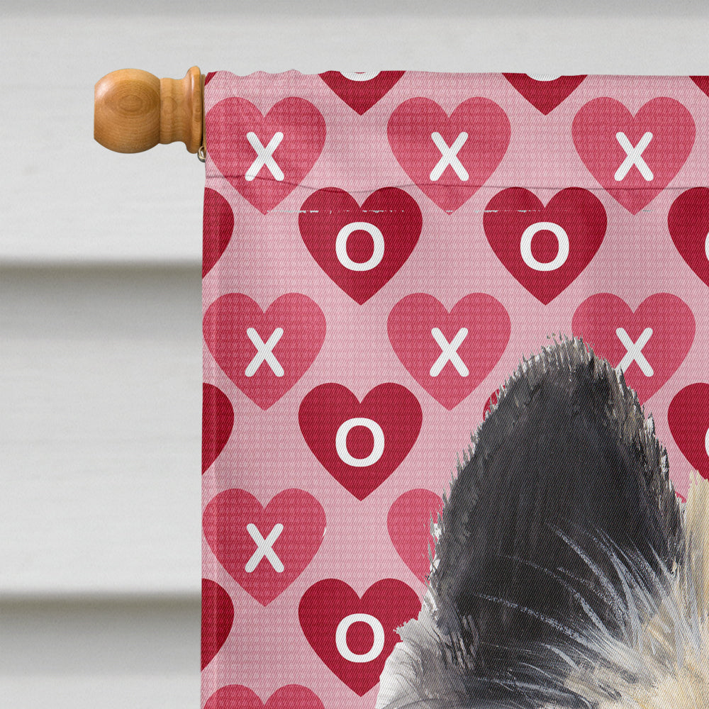 Belgian Tervuren Hearts Love and Valentine's Day  Flag Canvas House Size  the-store.com.