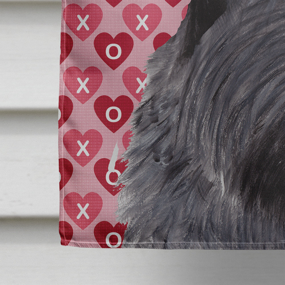 Scottish Terrier Hearts Love and Valentine's Day  Flag Canvas House Size  the-store.com.