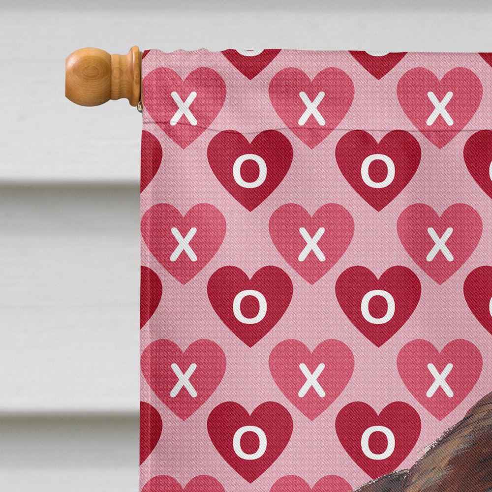 Welsh Springer Spaniel Hearts Love Valentine's Day Flag Canvas House Size