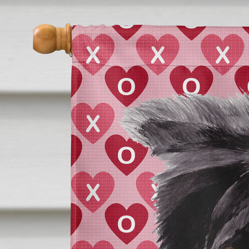 Border Collie Hearts Love and Valentine's Day Portrait Flag Canvas House Size