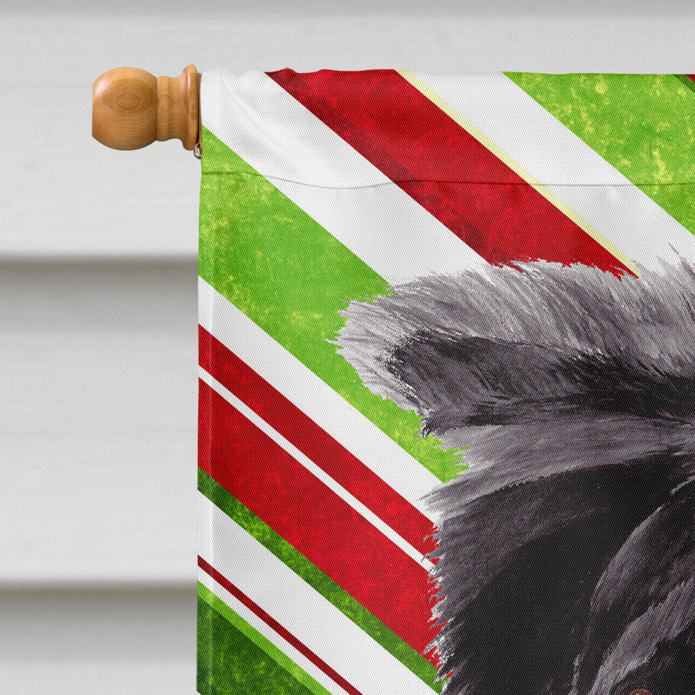 Border Collie Candy Cane Holiday Christmas Flag Canvas House Size