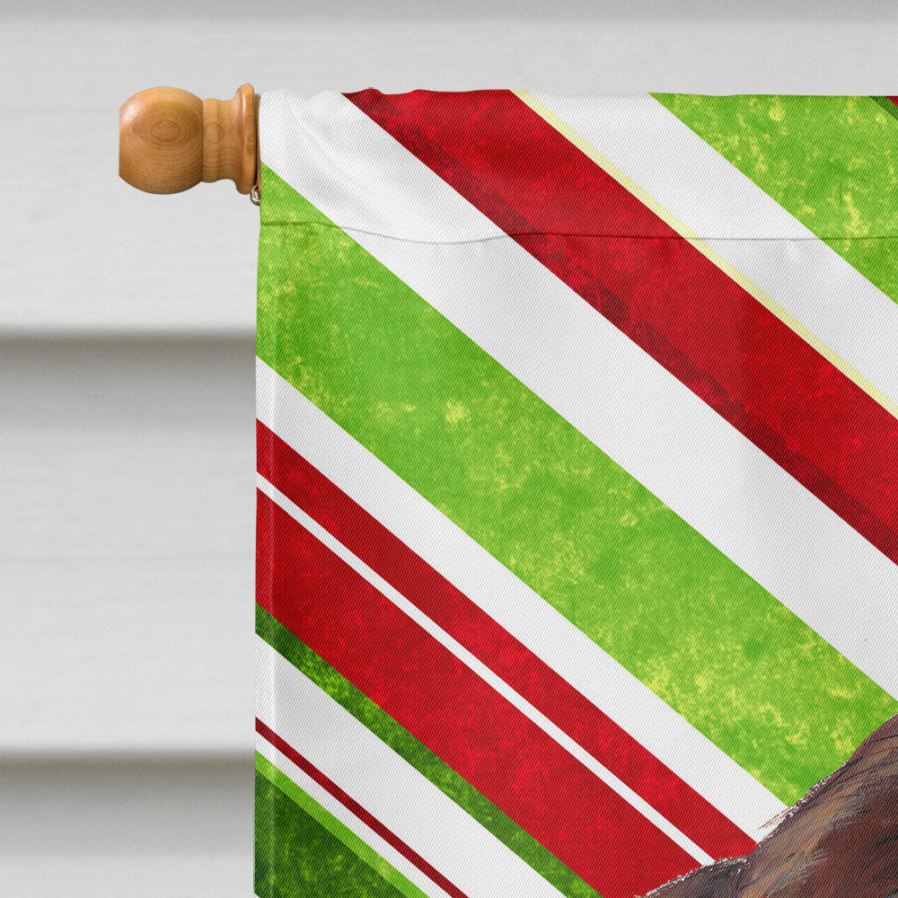 Welsh Springer Spaniel Candy Cane Holiday Christmas Flag Canvas House Size  the-store.com.