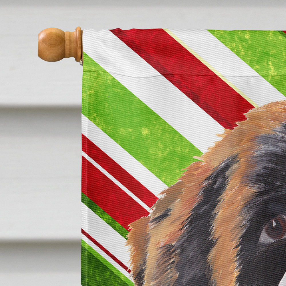 Saint Bernard Candy Cane Holiday Christmas Flag Canvas House Size