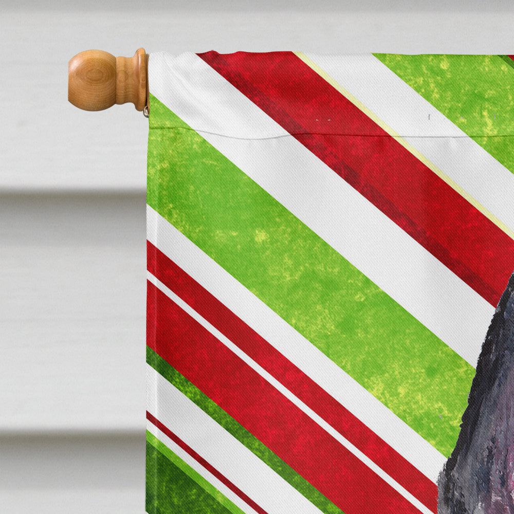 Terrier écossais Candy Cane vacances Noël drapeau toile taille de la maison