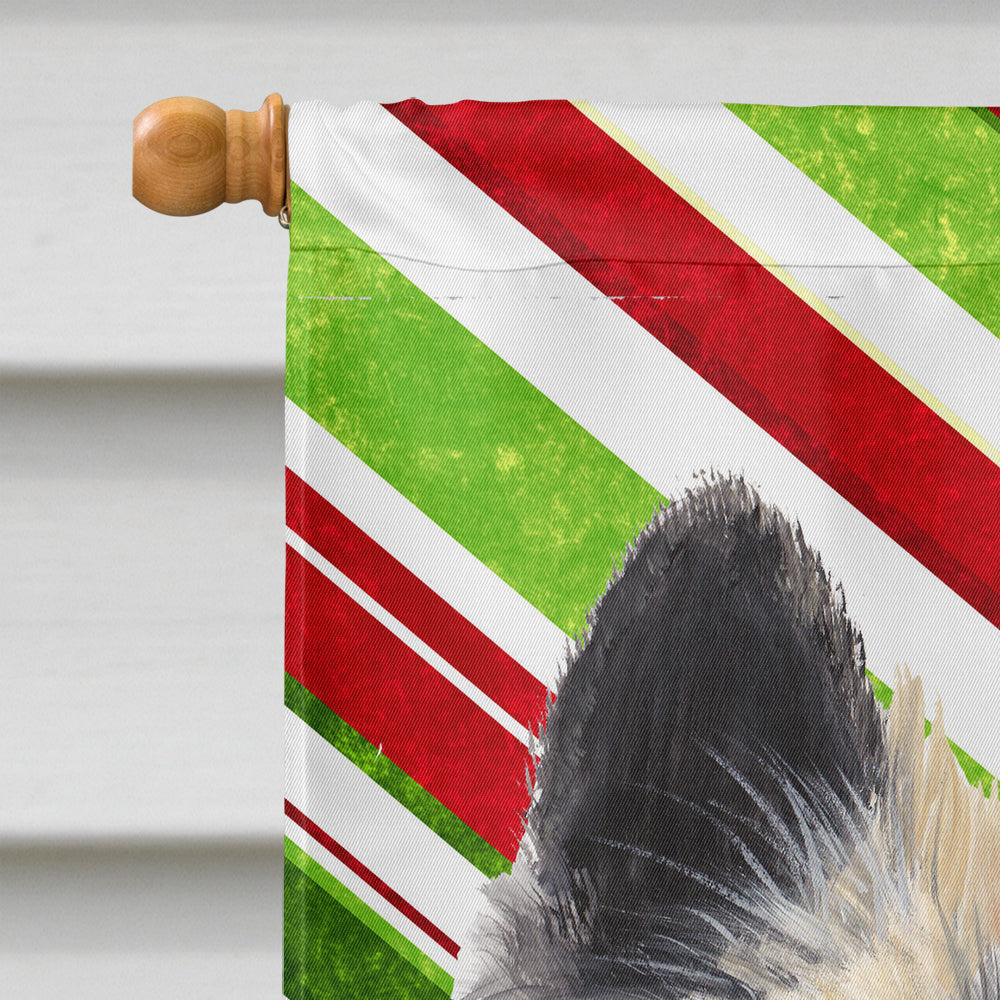 Belgian Tervuren Candy Cane Holiday Christmas Flag Canvas House Size