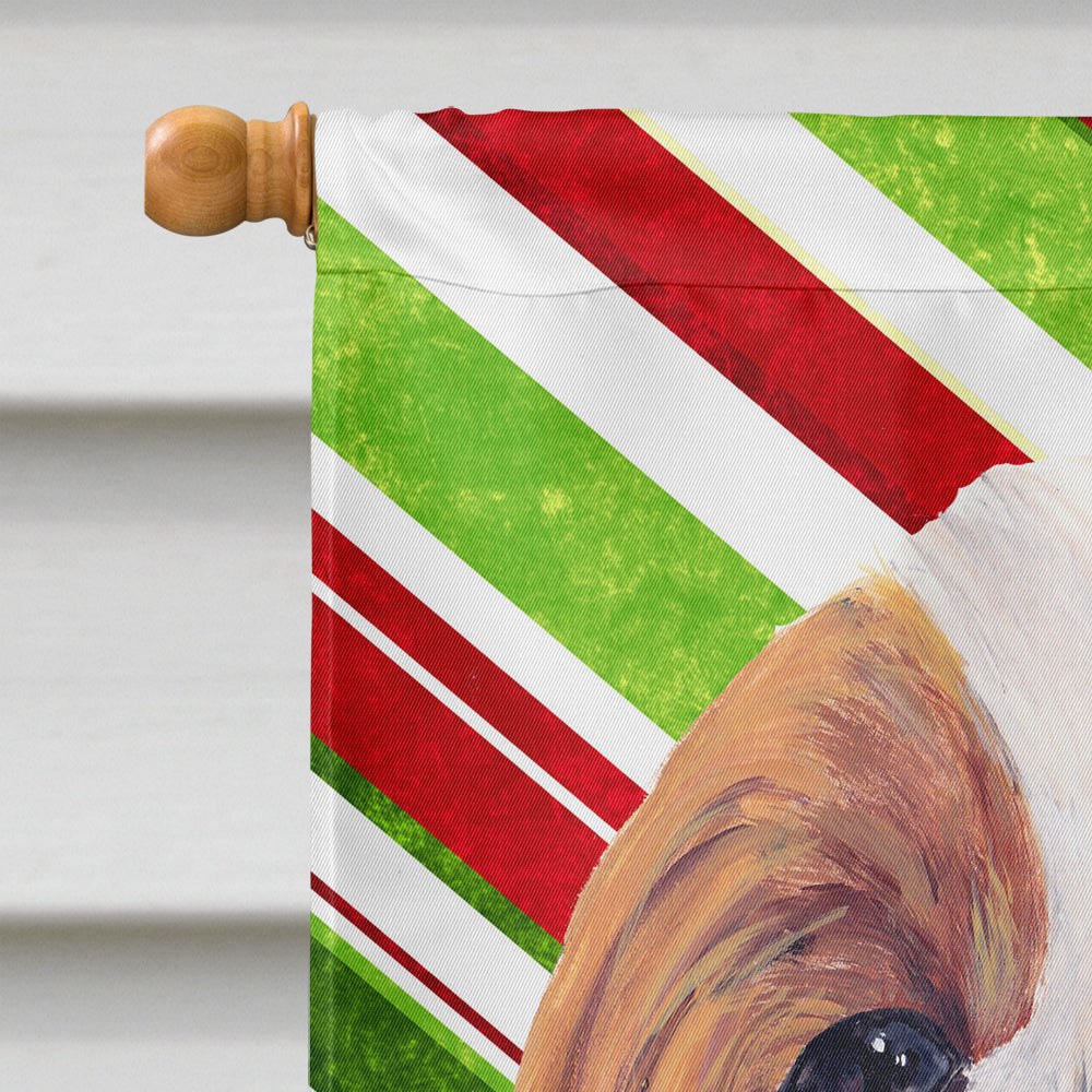 Cavalier Spaniel Candy Cane Holiday Christmas Flag Canvas House Size