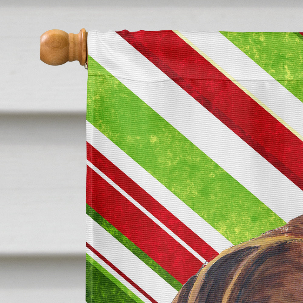 Pointeur allemand à poil court Candy Cane Holiday Christmas Flag Canvas House Size