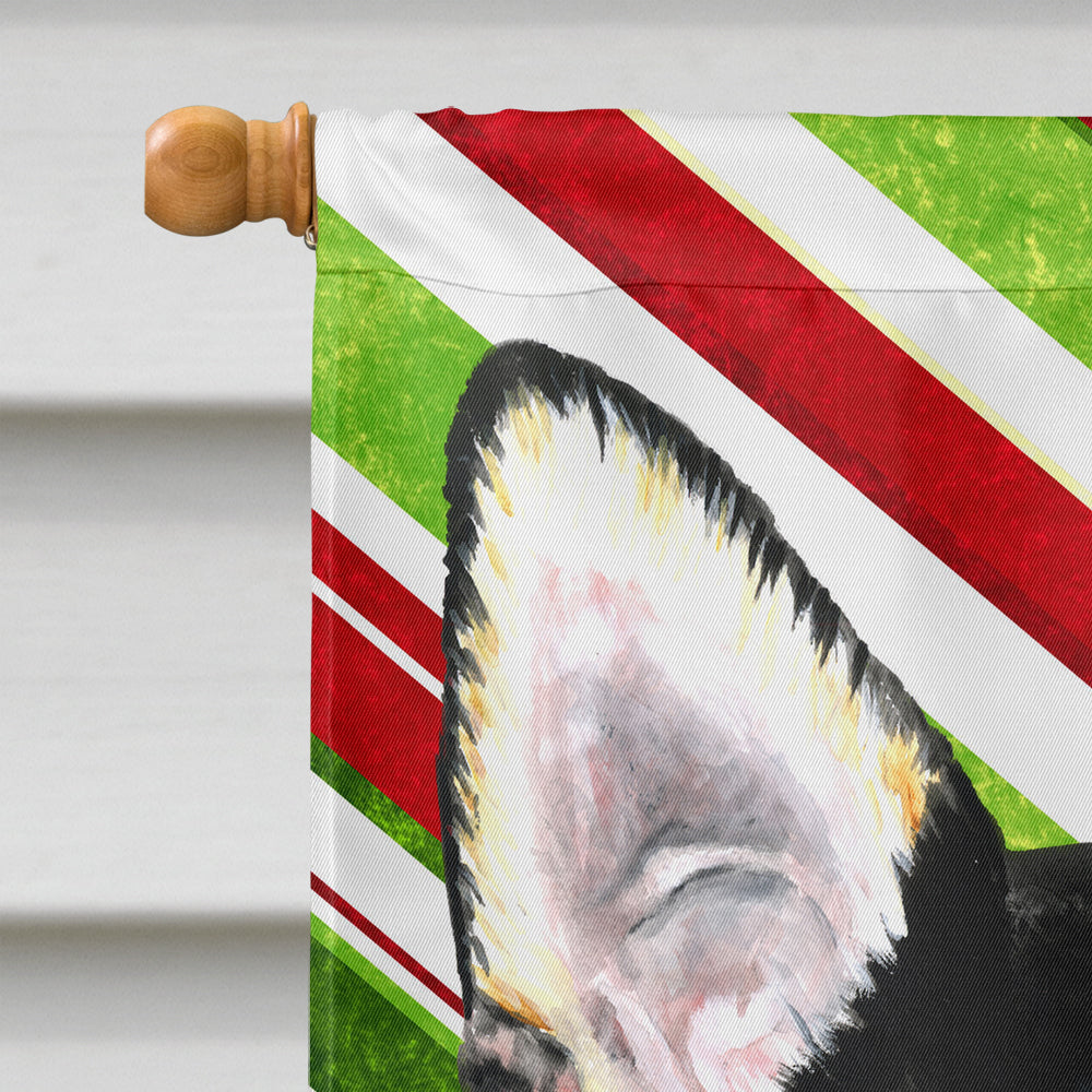 Chihuahua Candy Cane vacances Noël drapeau toile maison taille