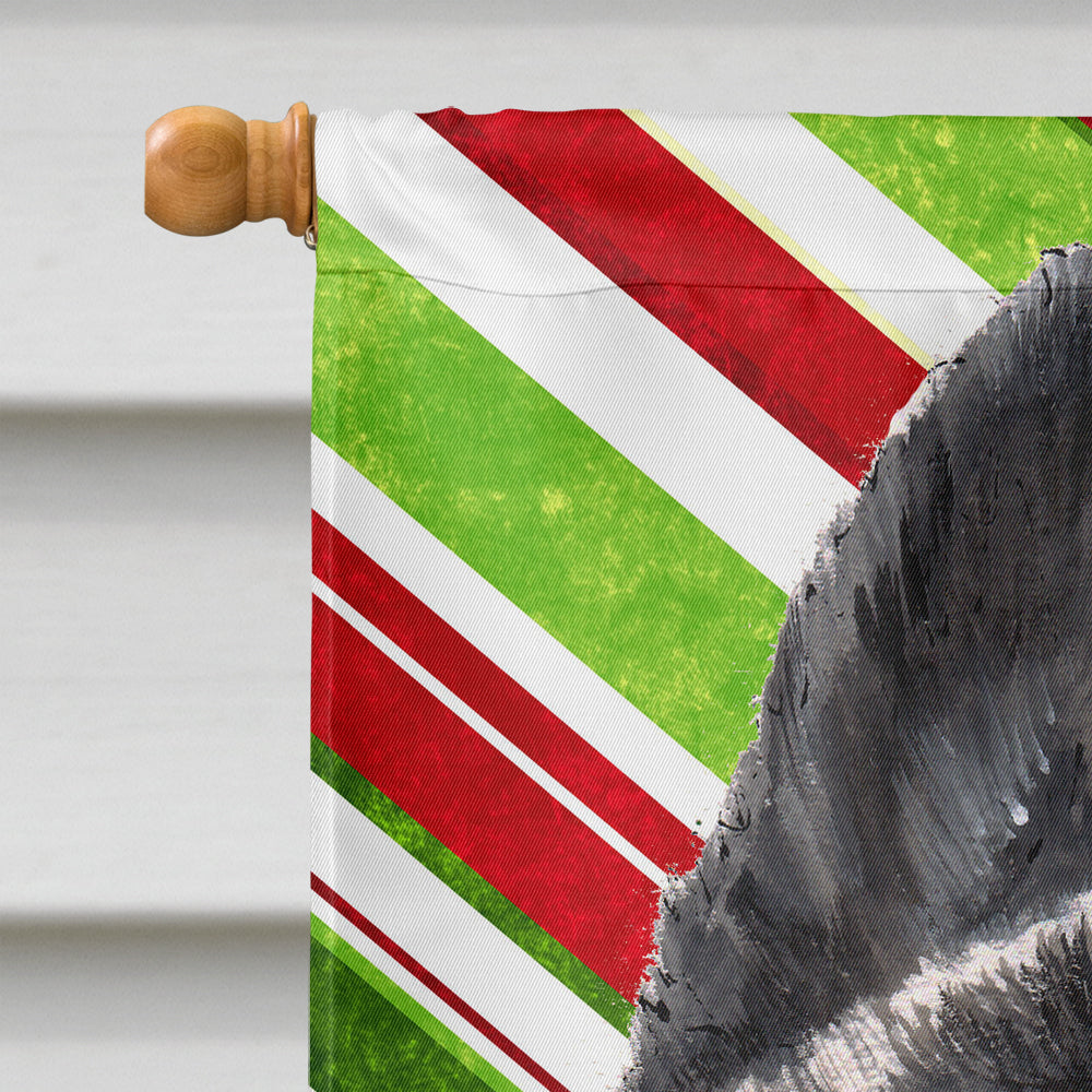 Akita Candy Cane Holiday Christmas Flag Canvas House Size SC9480CHF  the-store.com.