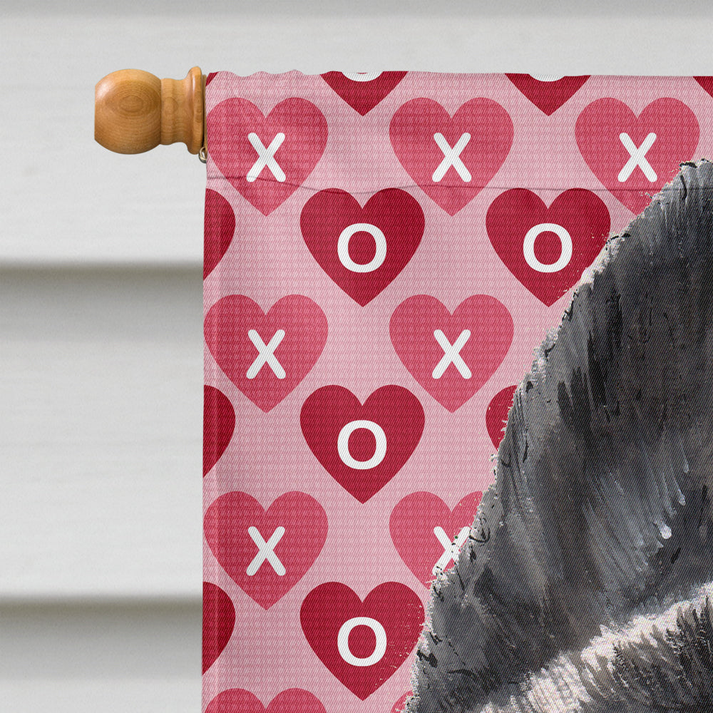 Akita Hearts Love and Valentine's Day Flag Canvas House Size SC9484CHF  the-store.com.