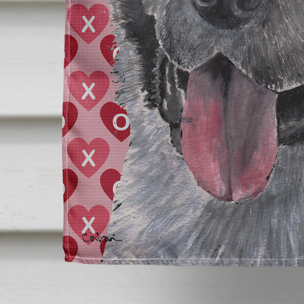 Akita Hearts Love and Valentine's Day Flag Canvas House Size SC9484CHF