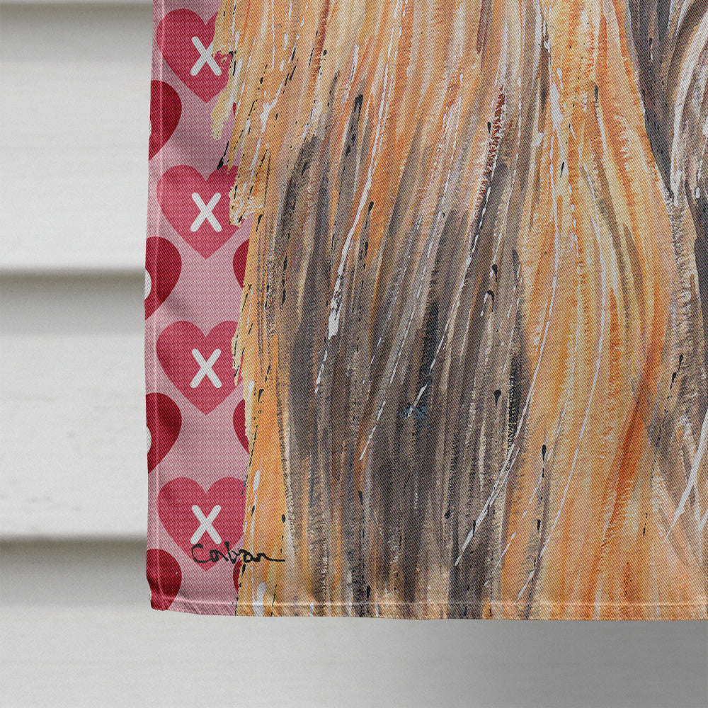 Afghan Hound Hearts Love and Valentine's Day Flag Canvas House Size SC9503CHF  the-store.com.