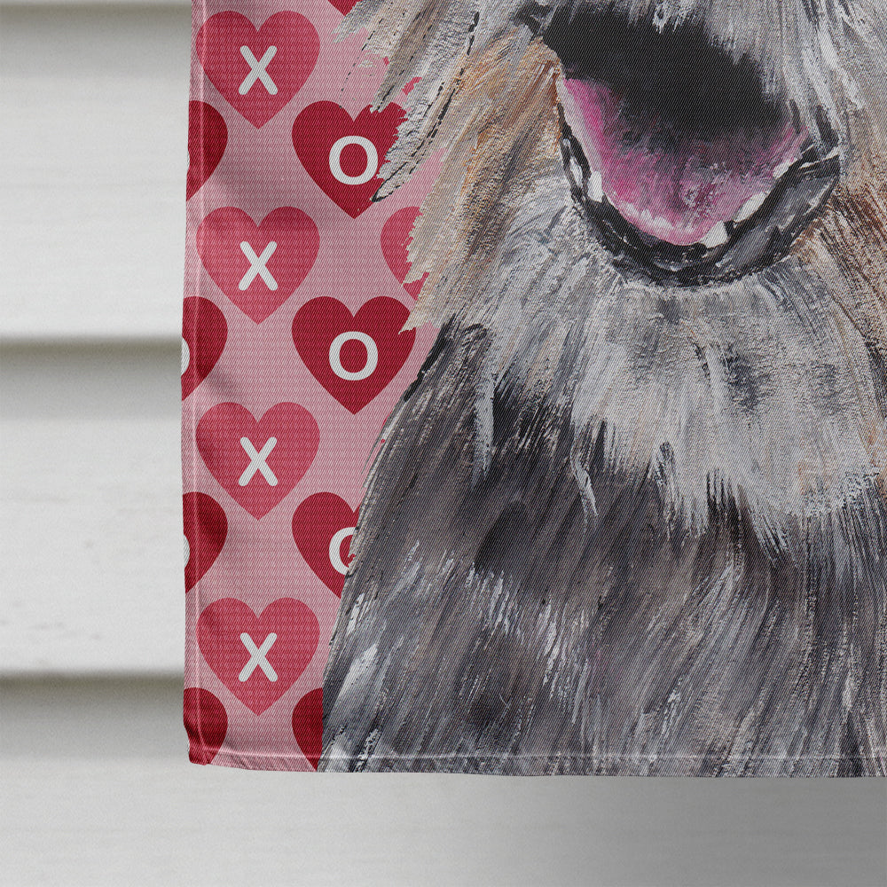 Border Terrier Valentine's Love Flag Canvas House Size
