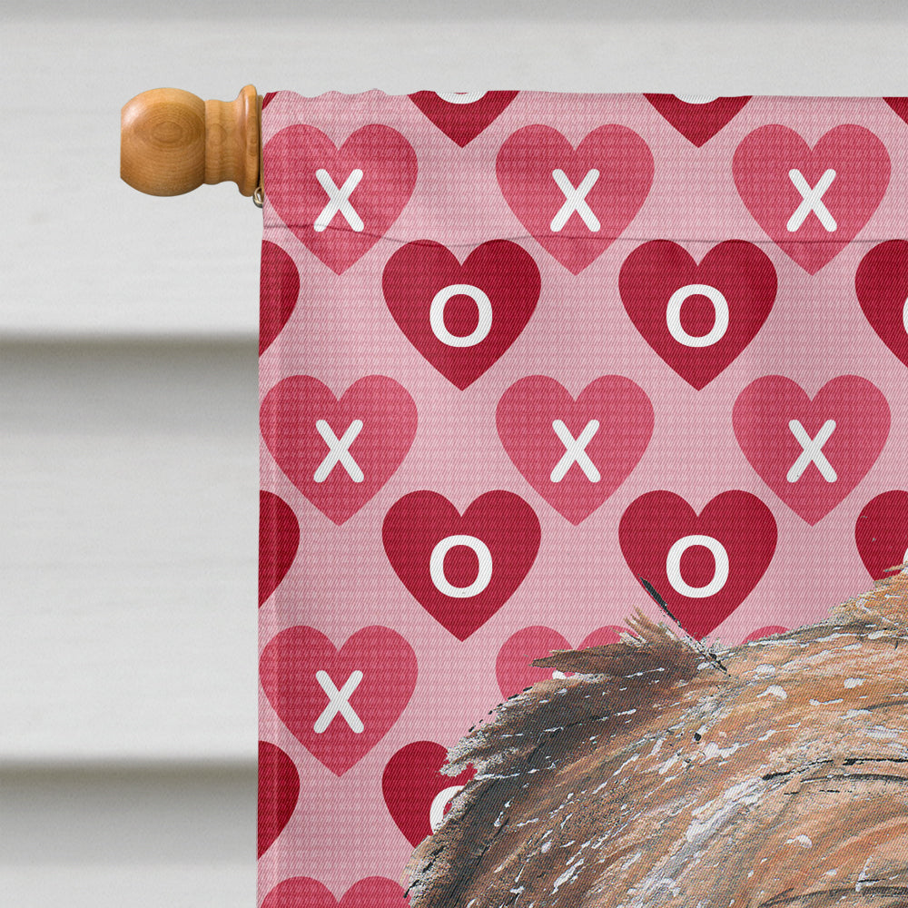 Brussels Griffon Valentine's Love Flag Canvas House Size  the-store.com.