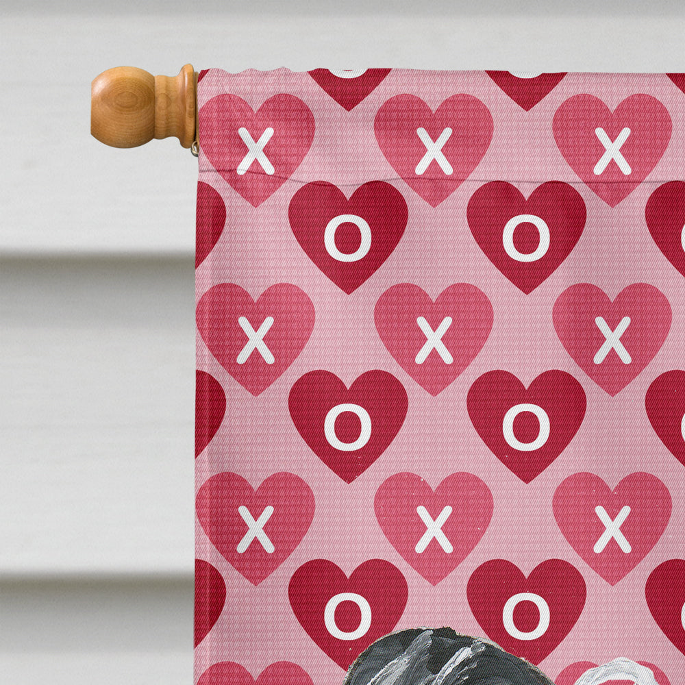 Chinese Crested Valentine's Love Flag Canvas House Size