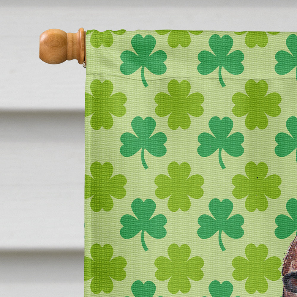 Irish Setter St Patrick's Irish Flag Canvas House Size  the-store.com.