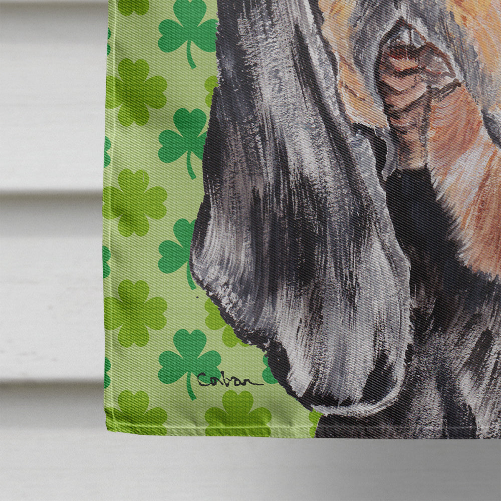 Coonhound St Patrick's Irish Flag Canvas House Size