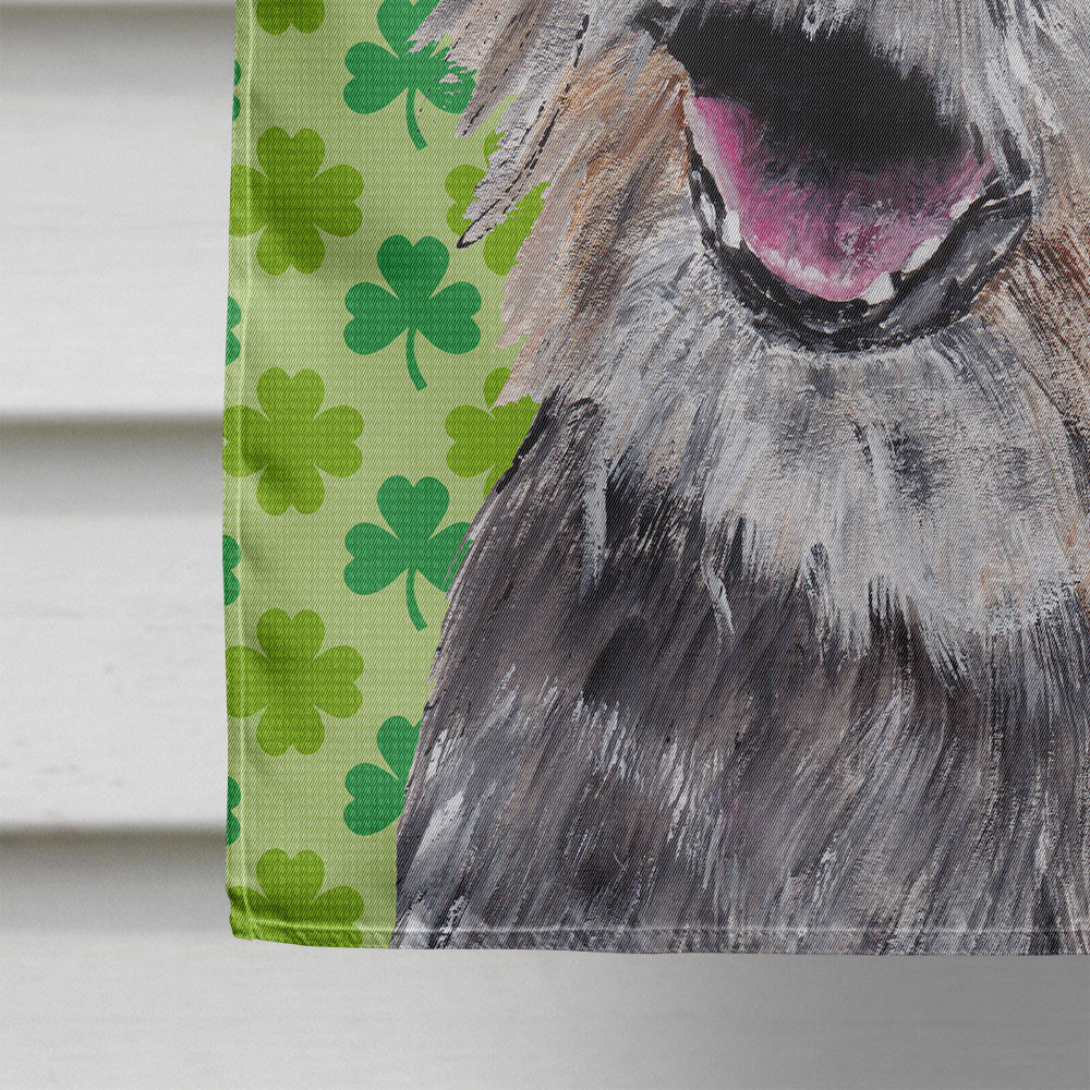 Border Terrier St Patrick's Irish Flag Canvas House Size