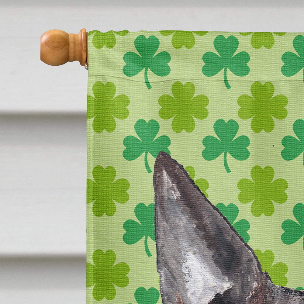 Bull Terrier St Patrick's Irish Flag Canvas House Size