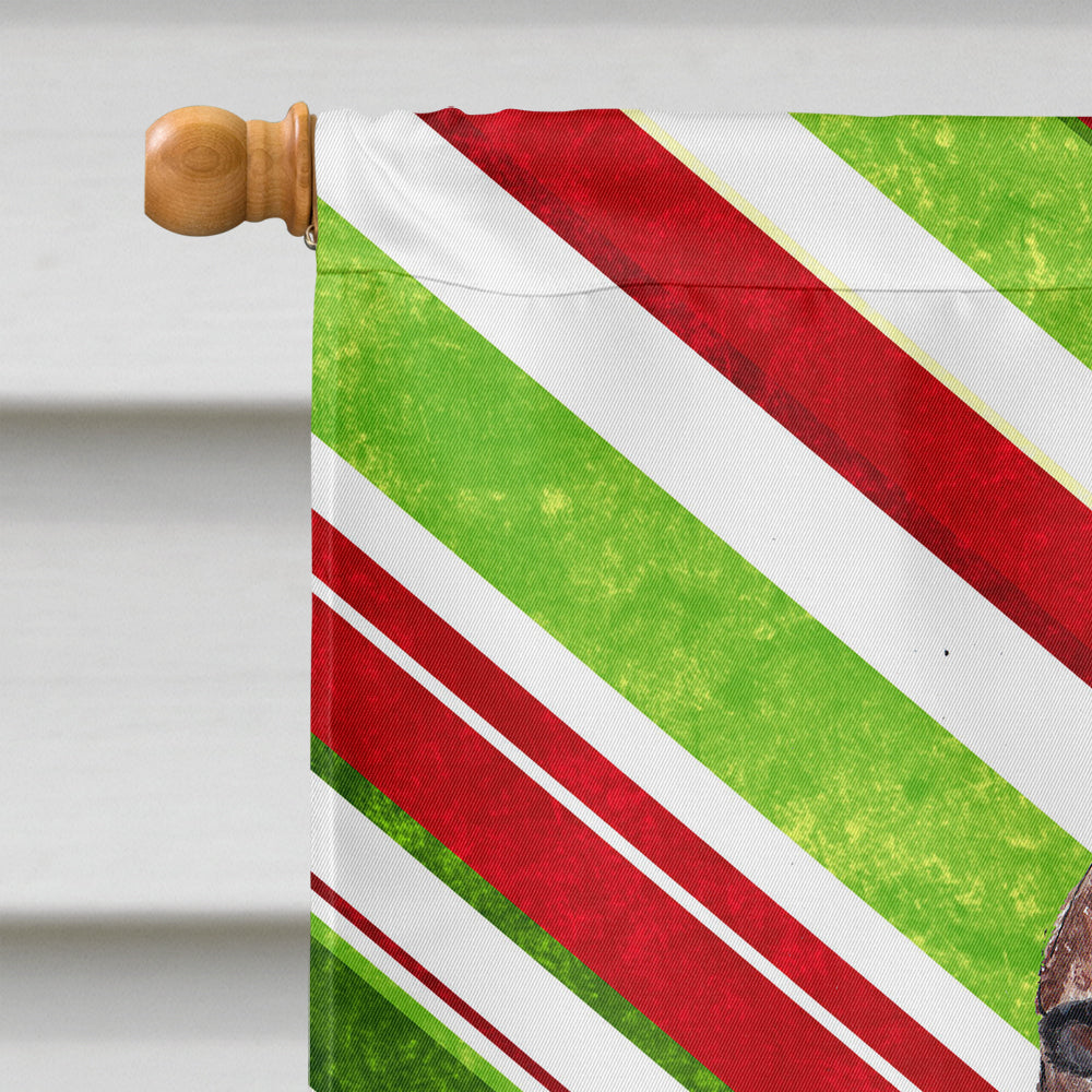 Irish Setter Candy Cane Christmas Flag Canvas House Size