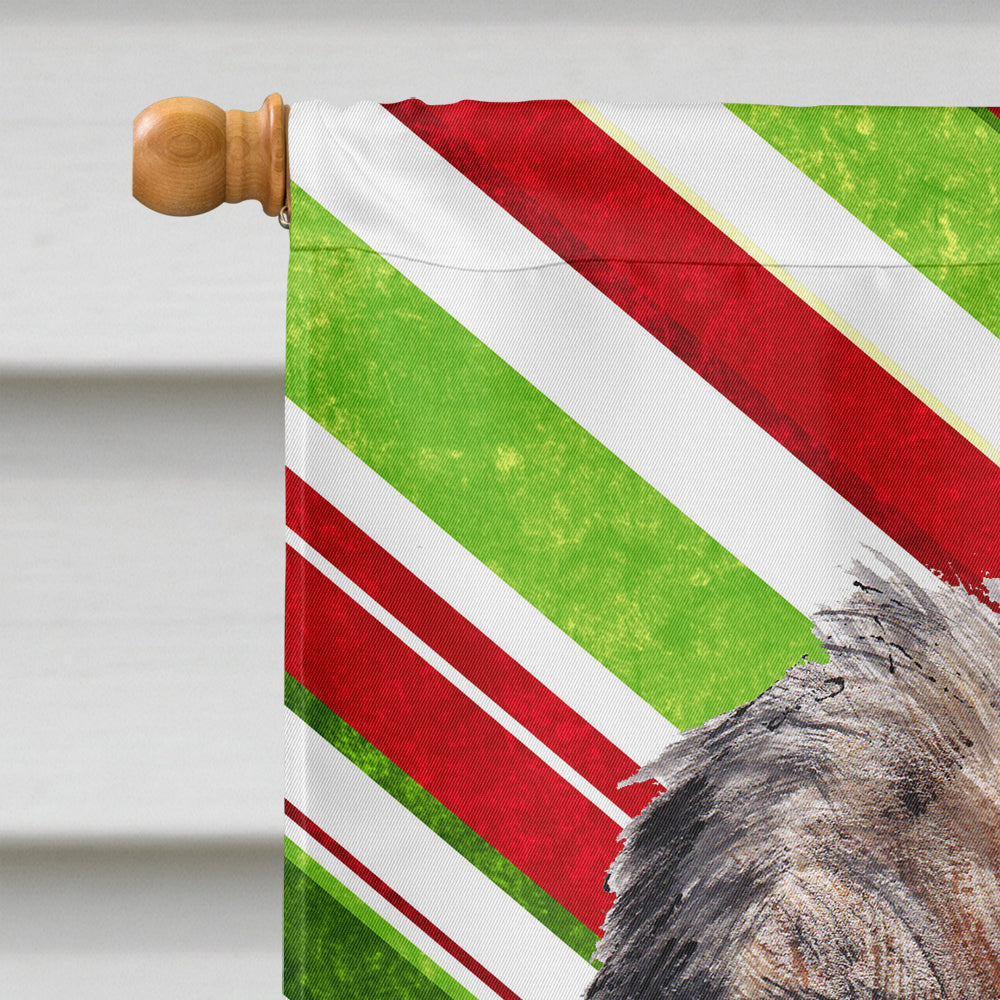 Border Terrier Candy Cane Christmas Flag Canvas House Size  the-store.com.