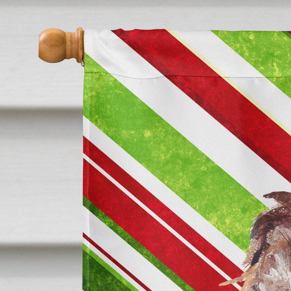 Boykin Spaniel Candy Cane Christmas Flag Canvas House Size  the-store.com.