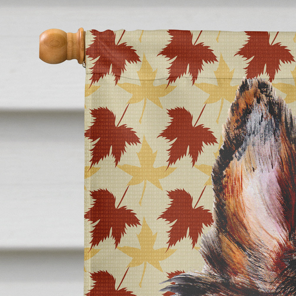 Collie Fall Leaves Flag Canvas House Size SC9670CHF  the-store.com.