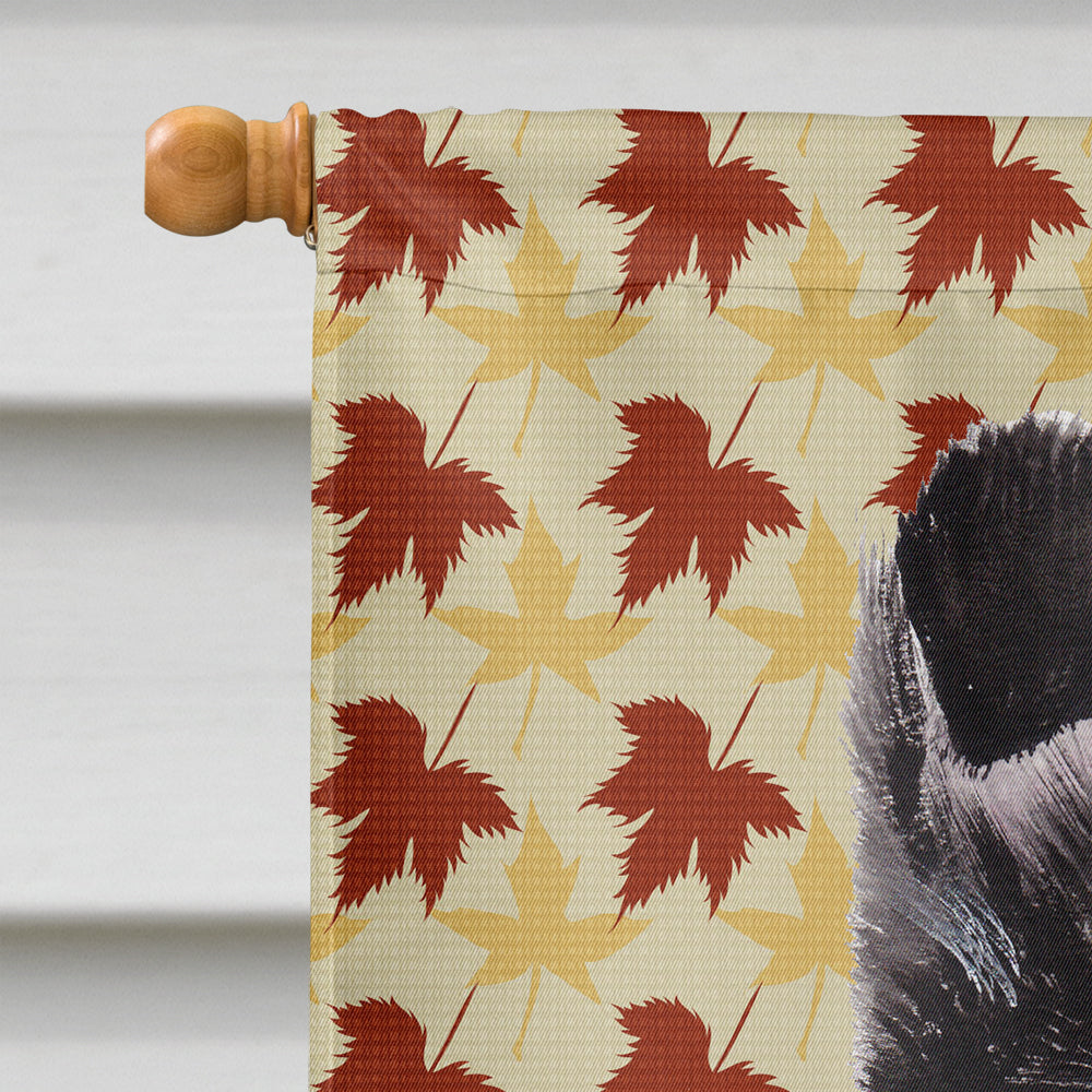 Black and White Collie Fall Leaves Flag Canvas House Size SC9678CHF  the-store.com.
